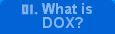 01. What is DOX?